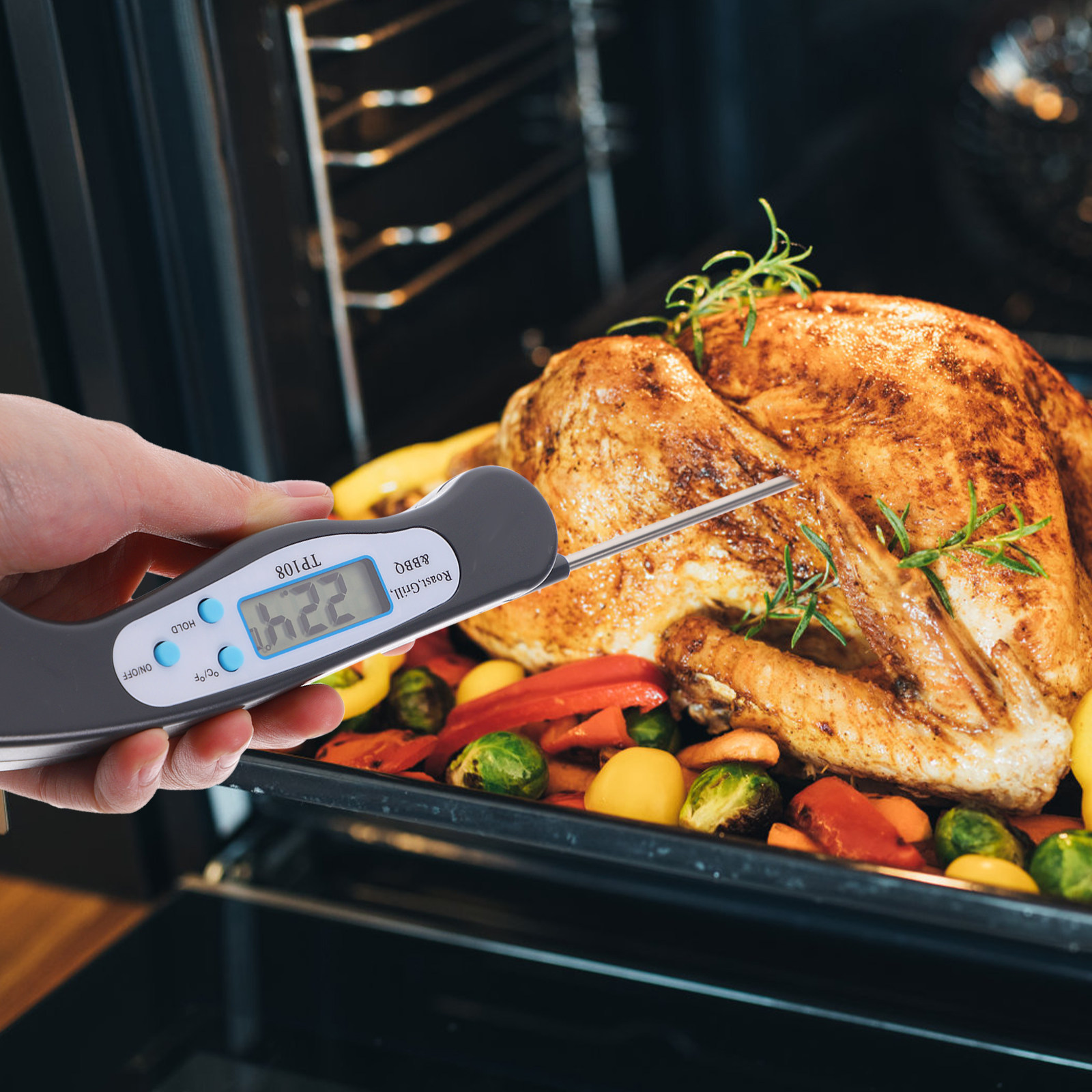 Digitales Lebensmittelthermome – Home Cooking Fast Foods Bewertung und Preis